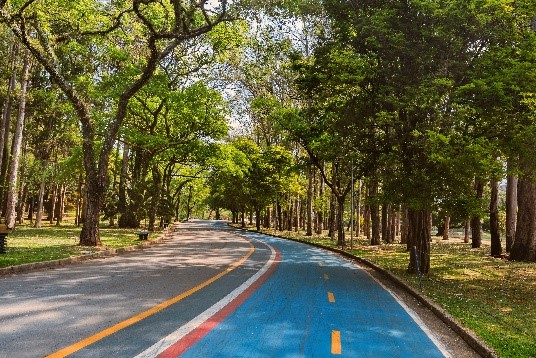 Photo of bike path in Ibirapuera Park So Paulo